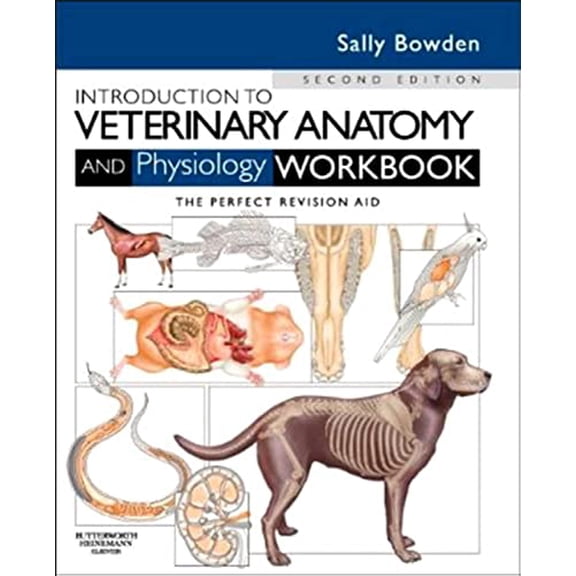 Pre-Owned Introduction to Veterinary Anatomy and Physiology Workbook Paperback