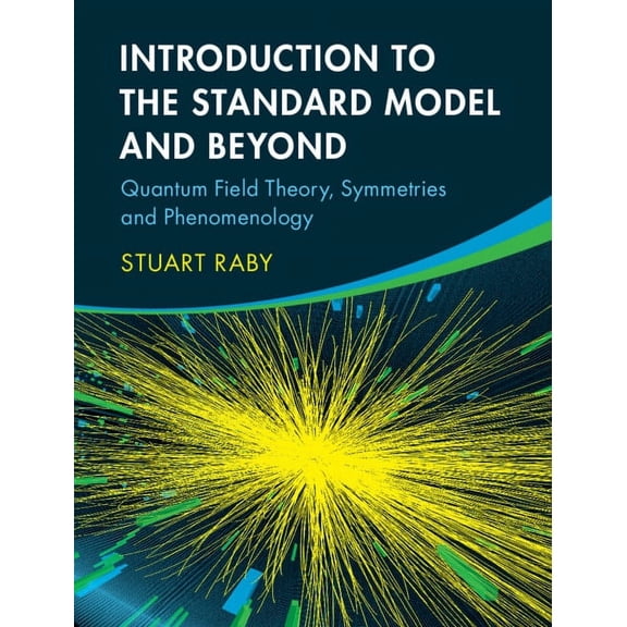 Introduction to the Standard Model and Beyond: Quantum Field Theory, Symmetries and Phenomenology, (Hardcover)