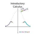thumbnail image 1 of Pre-Owned Introductory Calculus For Infants Paperback, 1 of 1