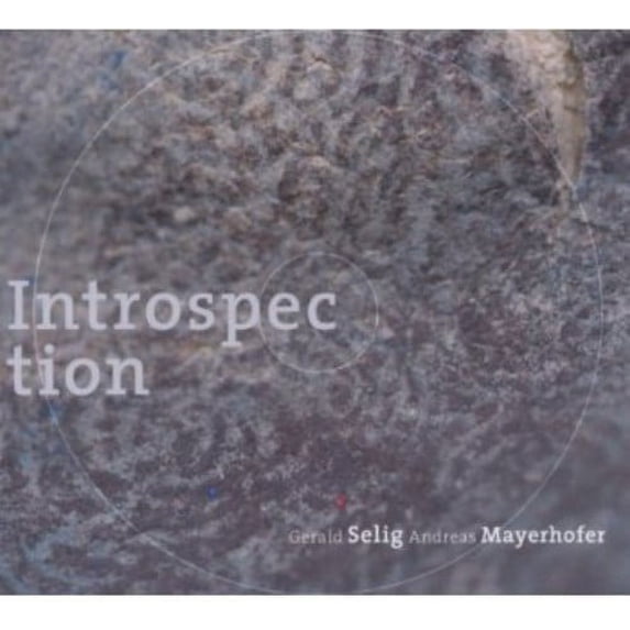 Introspection