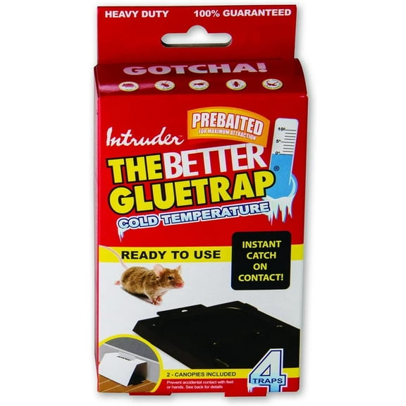 Intruder 17505 The Better GlueTrap-Cold Temperature Glue Trap, Small, Black