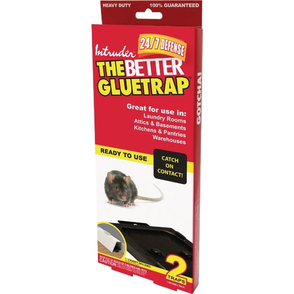 Intruder 21000 The Better Insectrap, 4-Pack