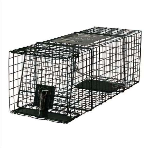 Intruder 24205 Relocator Live Trap - Medium Assembled Easy Set & Release with Bayonet Latch 24" x 8" x 8"