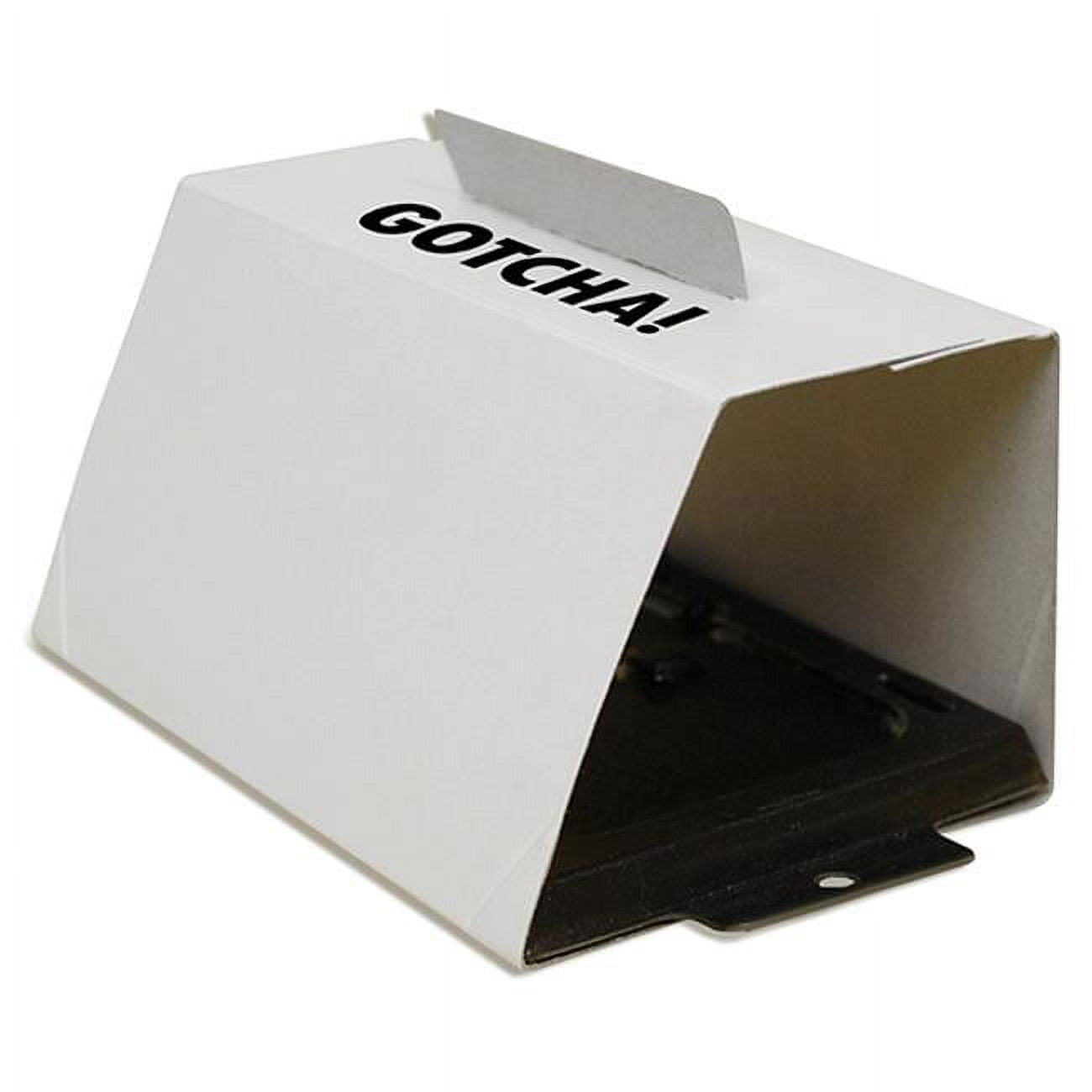 Intruder Gluetrap