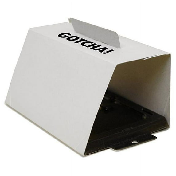 Intruder 5039568 The Better Regular Temperature Gluetrap, Small - Pack of 4