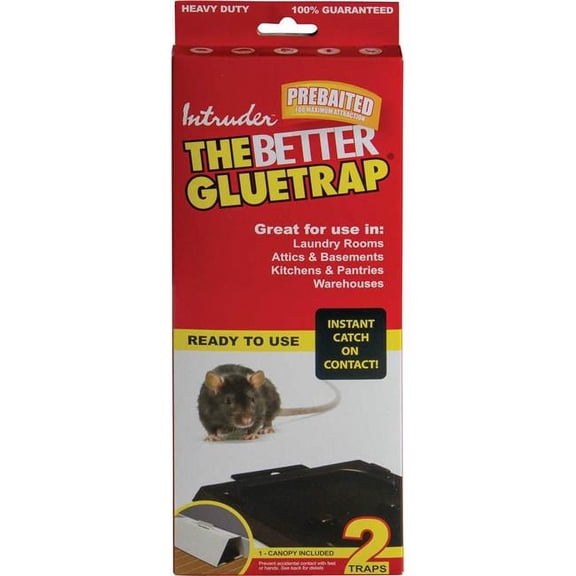 Intruder 5039570 The Better Regular Temperature Gluetrap, Large - Pack of 2