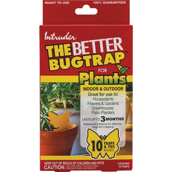 Intruder Better Bugtrap Insect Trap - Waterproof, Indoor/Outdoor Use - 10 Pack