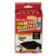 Rat Sticky Pads