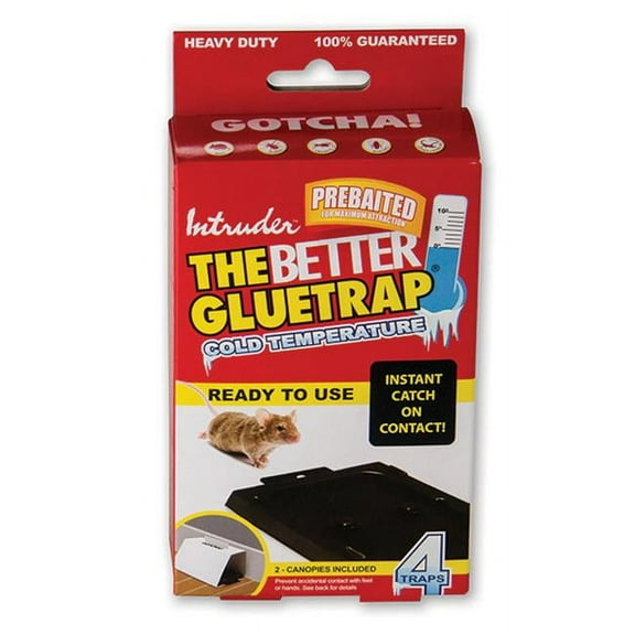 Intruder The Better Glue Trap Cold Temperature Mouse Trap (4-Pack) 17505