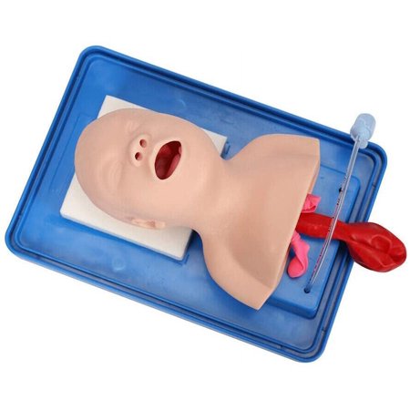 Intubation Manikin Study Teaching Baby Model Airway Management Trainer with Tube