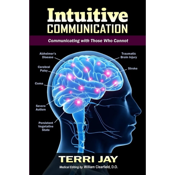 Intuitive Communication: Communicating With Those Who Cannot, (Paperback)