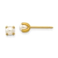 thumbnail image 1 of Inverness 14k 4mm Simulated Pearl Earrings 14k Yellow Gold Earrings, 1 of 1