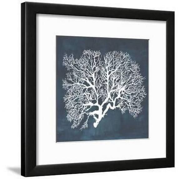 Inverse Sea Fan III, Framed Art Print Wall Art by Grace Popp Sold by Art.Com