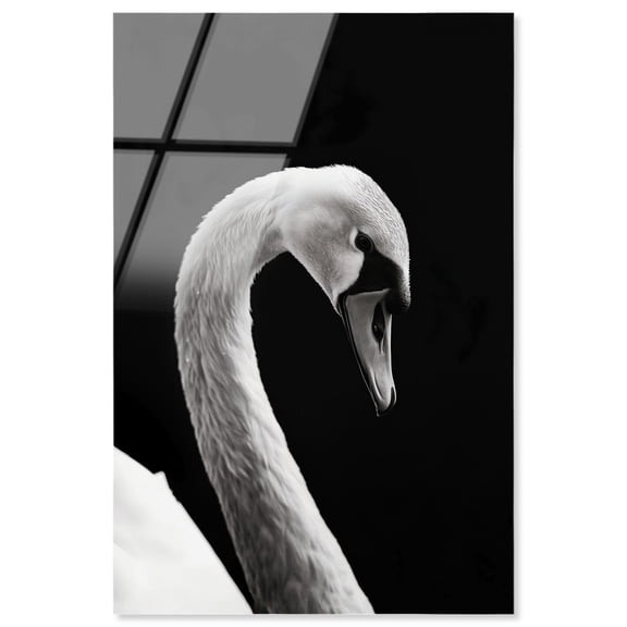 Inverted Quack Acrylic Print Animal Art Prints by Notoriart, Ready to Hang, 20 x 30