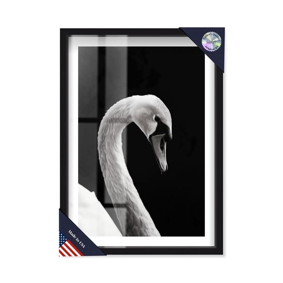 Inverted Quack Shadowbox Print Animal Art Prints by Notoriart, Black Frame, 21 x 31