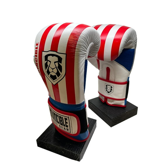 Invincible Fight Gear Hook and Loop Leather Training Boxing Gloves with USA Flag Colors - Ideal for Boxing, Kickboxing, Muay Thai, MMA for Men Women and Kids