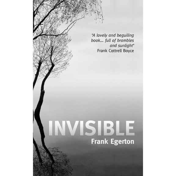 Invisible, (Paperback)