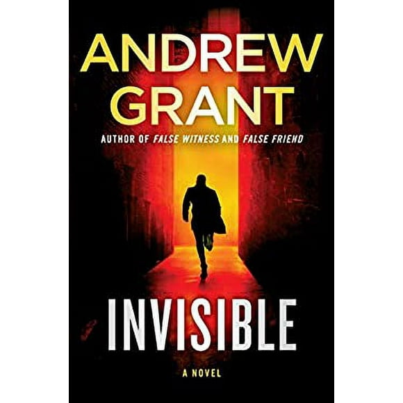 Pre-Owned Invisible: A Novel 9780525619598