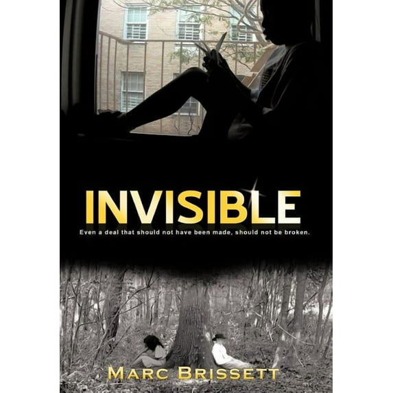 Invisible (Hardcover)