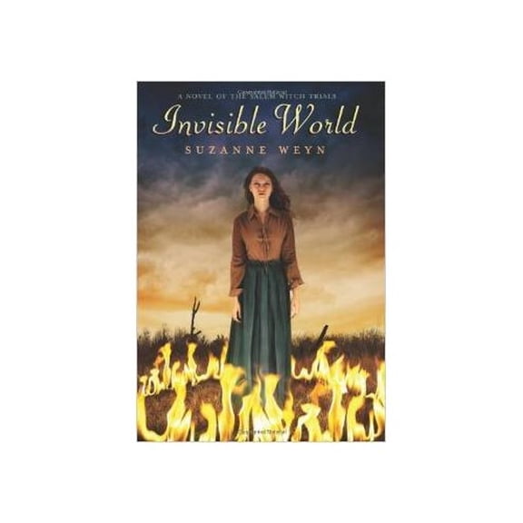 Pre-Owned Invisible World (Paperback) 0545490030 9780545490030