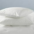 thumbnail image 1 of Invista Comforel Standard Pillow Set (2 Standard Pillows), 1 of 1
