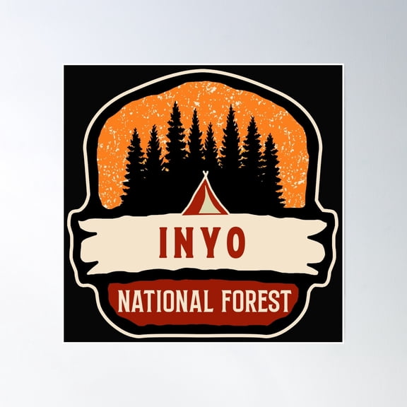 Inyo National Forest Poster Wall Art, Modern Wall Decor, 16x16 UNFRAMED