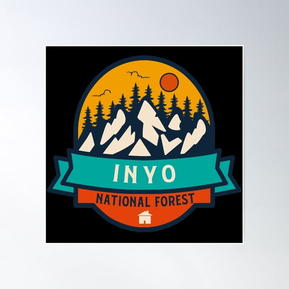 Inyo National Forest Poster Wall Art, Modern Wall Decor, 30x30 UNFRAMED