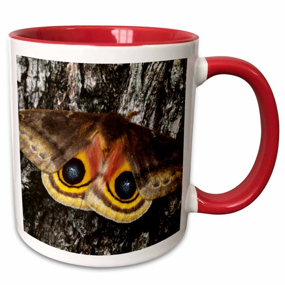 3drose, Io Moth Insect, Mesquite Tree Bark, Texas - Us44 Rnu0192 - Rolf Nussbaumer, 11oz Two-tone Red Mug