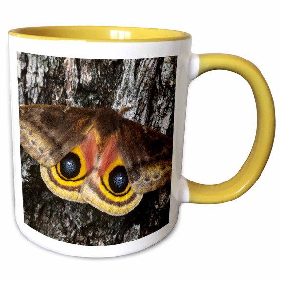 3drose, Io Moth Insect, Mesquite Tree Bark, Texas - Us44 Rnu0192 - Rolf Nussbaumer, 11oz Two-tone Yellow Mug