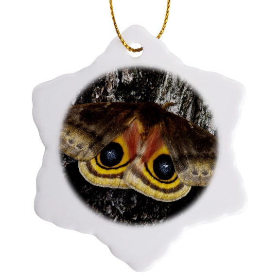 3drose, Io Moth Insect, Mesquite Tree Bark, Texas - Us44 Rnu0192 - Rolf Nussbaumer, 3 inch Snowflake Porcelain Ornament