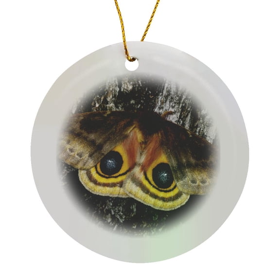 3drose, Io Moth Insect, Mesquite Tree Bark, Texas - Us44 Rnu0192 - Rolf Nussbaumer, Circle Porcelain Ornament
