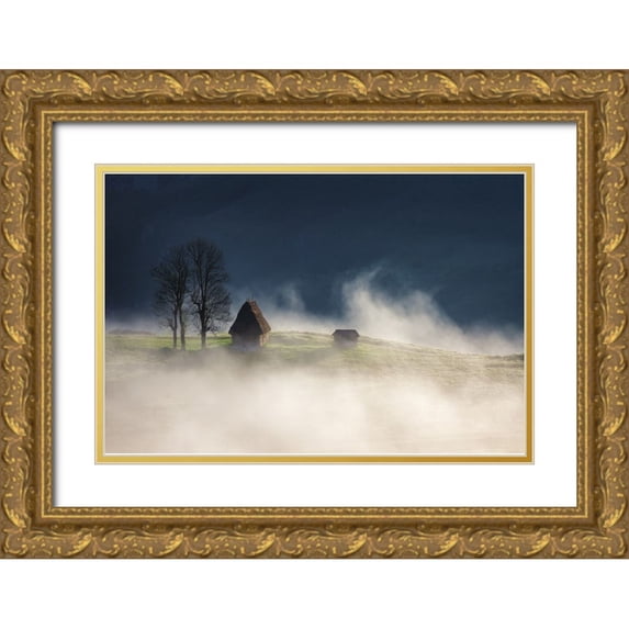 Ioan Ovidiu, Lazar 24x17 Gold Ornate Wood Framed with Double Matting Museum Art Print Titled - Magic Mornings