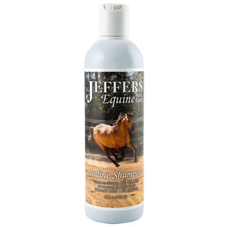 Jeffers Equine Iodine Shampoo for Horses, 16 oz - Deep Cleansing Grooming Soap, Coat & Skin Wash, Mane and Tail Care, Coconut Based Formula, Low Detergent, Barn & Travel Horse Shampoo
