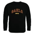 thumbnail image 1 of Iona College Campus Crewneck T-Shirt, Black - Extra Large, 1 of 1