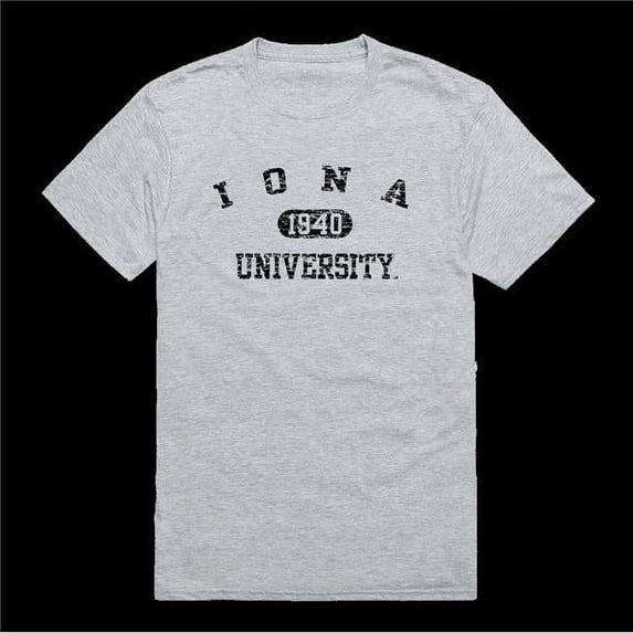 Iona University Gaels Distressed Arch College T-Shirt, Heather Grey - Small