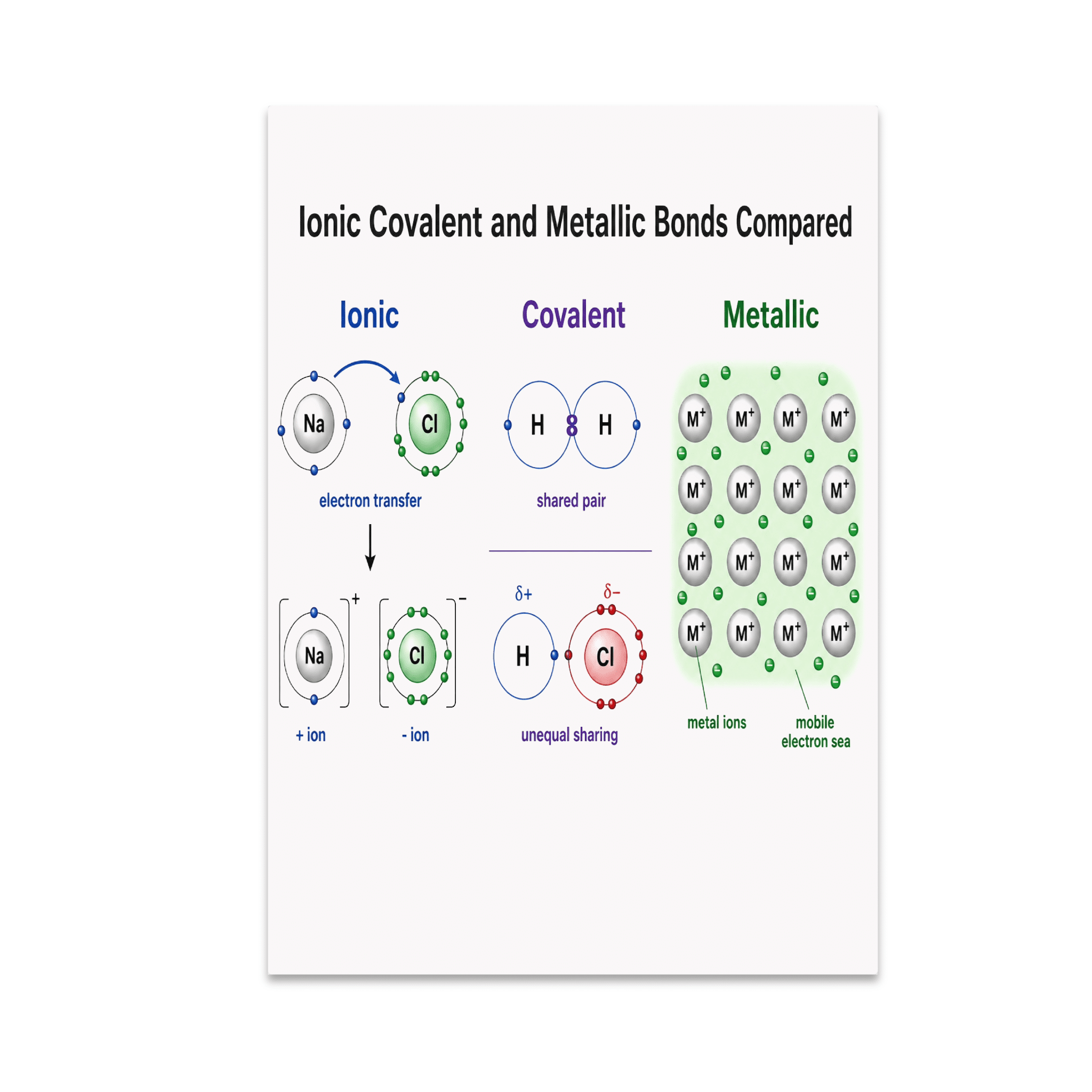 Ionic Covalent and Metallic Bonds Compared - Science Classroom - 13x19 ...