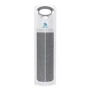 Ionic Pro 212 sq ft. AP200 True Hepa Air Purifier Three Speeds