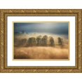 thumbnail image 1 of Ionut Coman, Alexandru 24x17 Gold Ornate Wood Framed with Double Matting Museum Art Print Titled - Sunrise veil, 1 of 4