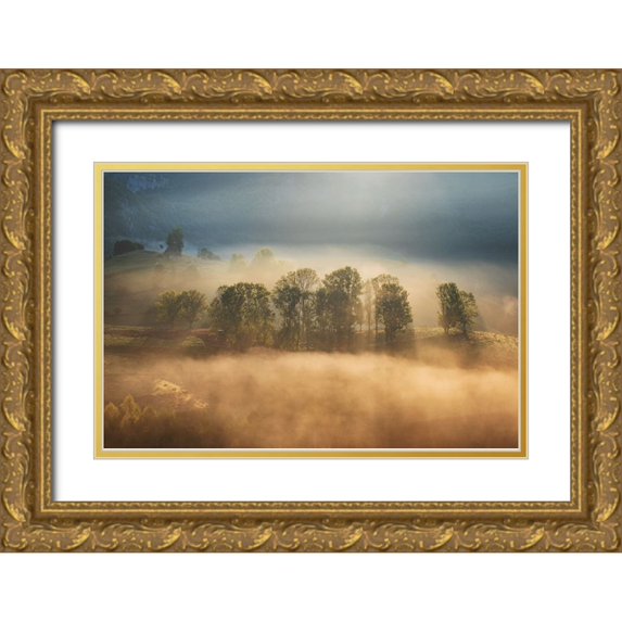 Ionut Coman, Alexandru 24x17 Gold Ornate Wood Framed with Double Matting Museum Art Print Titled - Sunrise veil