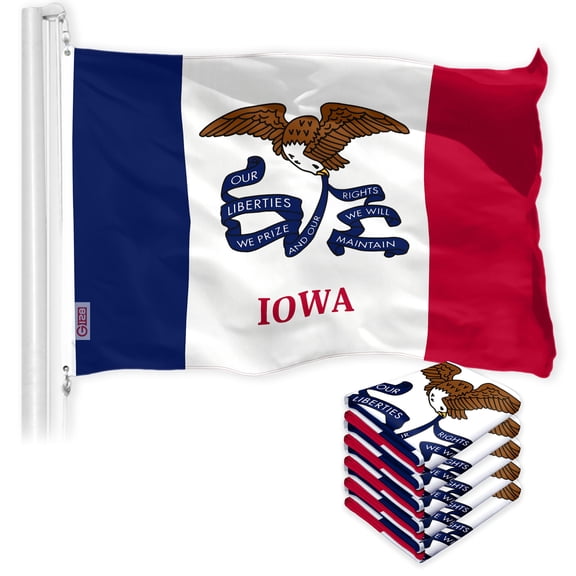 Iowa IA State Flag 3x5FT 5-Pack 150D Printed Polyester By G128
