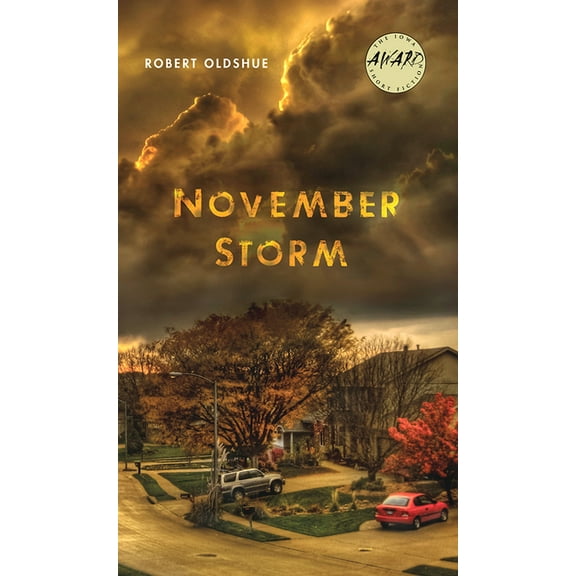 Iowa Short Fiction Award: November Storm (Paperback)