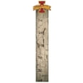 thumbnail image 1 of Iowa State Cyclones 6" x 36" Growth Chart Sign, 1 of 7