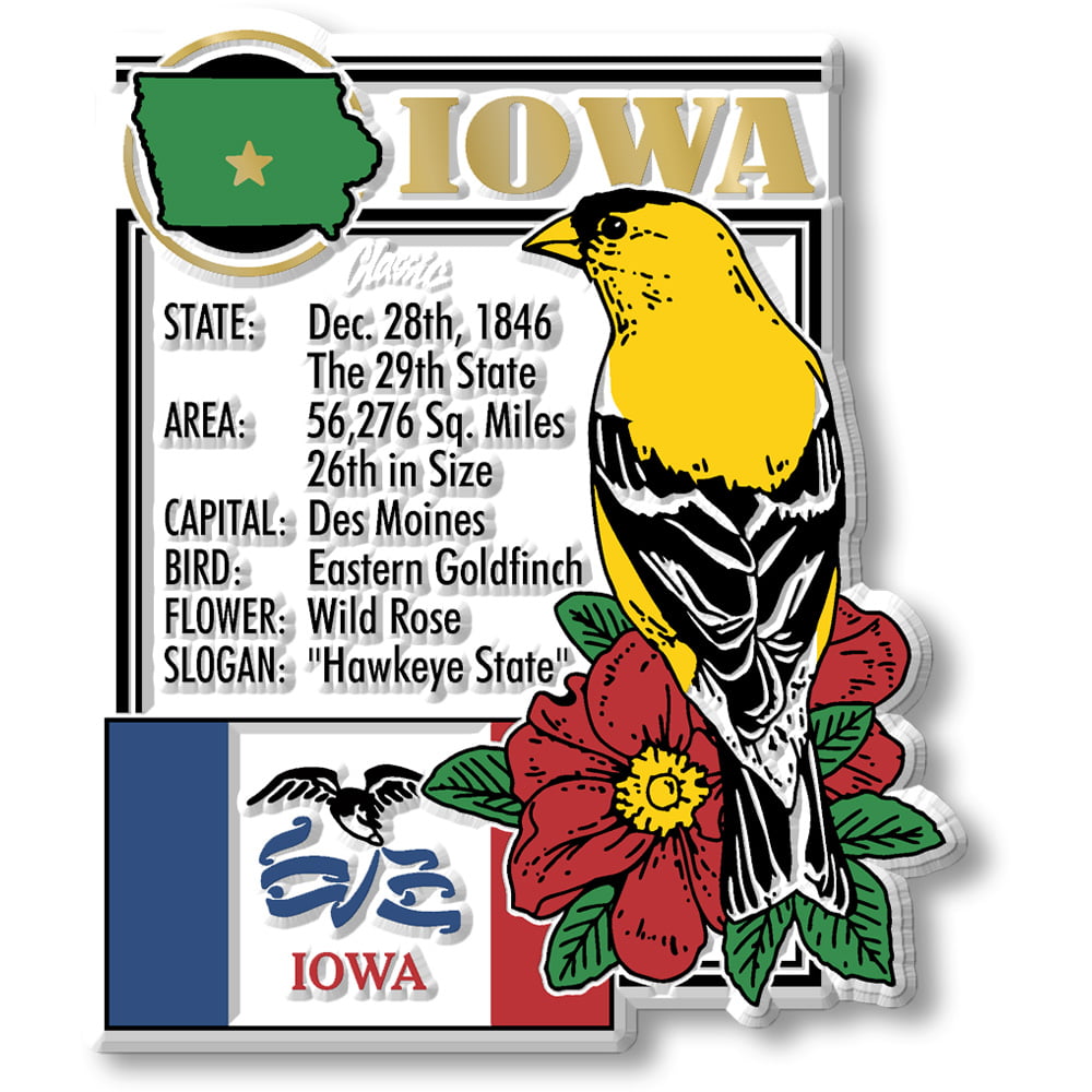 Iowa State Montage Magnet by Classic Magnets, 2.8 x 3.3 