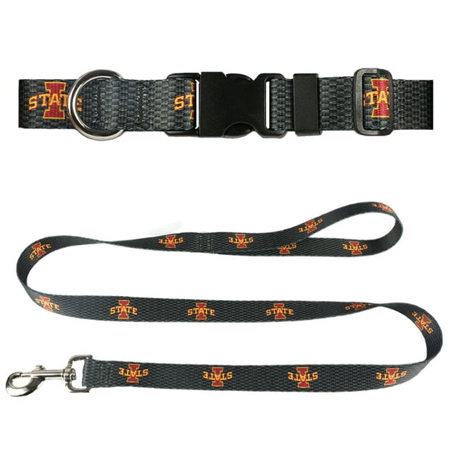 Iowa State University 3/4 inch x 6ft Dog Leash and 3/4 inch Small Collar Set, Carbon Fiber