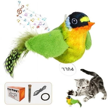 Ipawspace Catnip Cat Toy for Indoor Cats Boredom Relieve Teething Kicking Feather Interactive Cat Toy with Lifelike Chirp Sound Kitten Love (green bird)