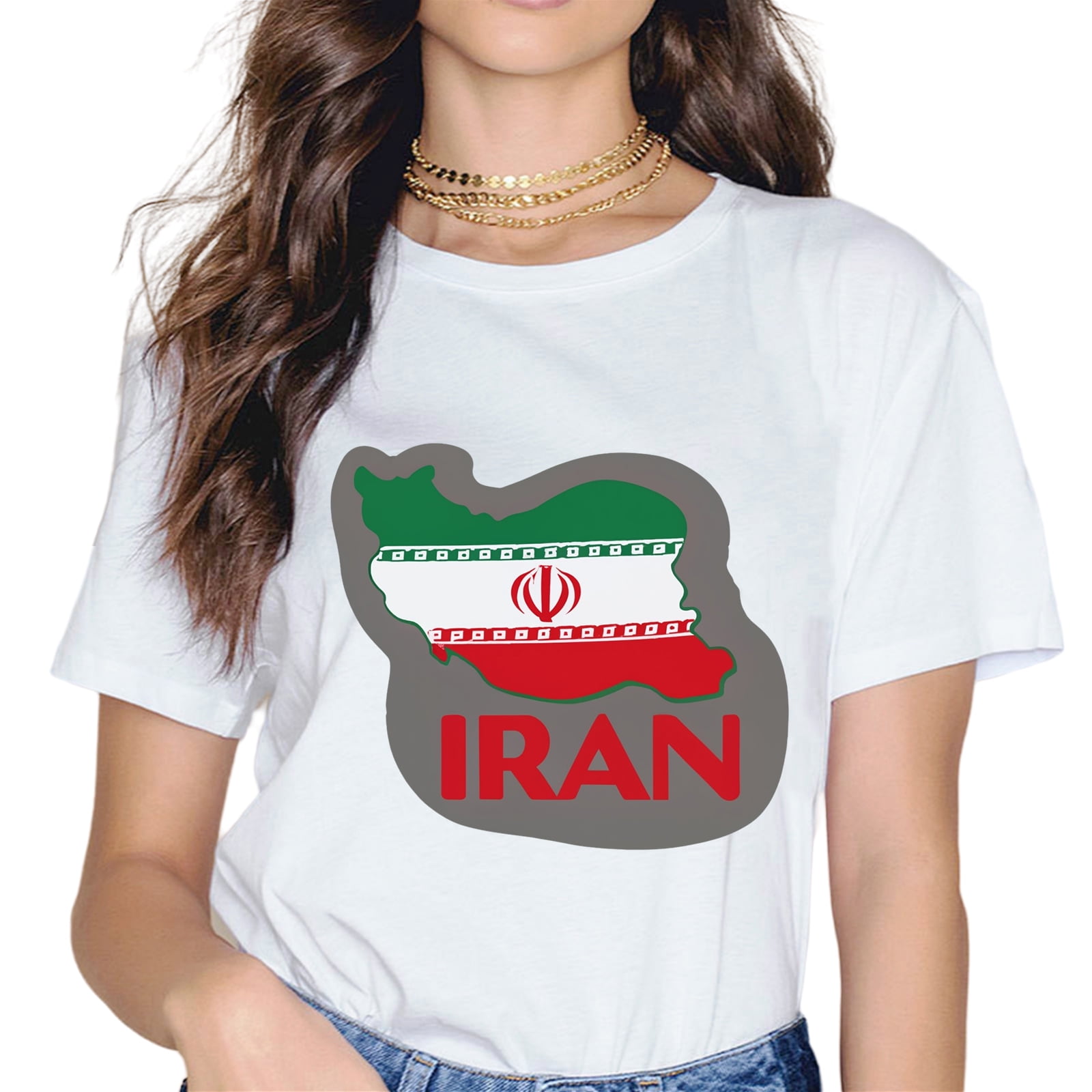 Iran Iranian Persian Irani Flag Iran Roots Farsi Irani Iran T Shirt