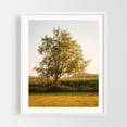 thumbnail image 1 of Irasburg Rural - Irasburg Vermont Photography Nature Landscape Rural Autumn Countryside Farmhouse White Framed Wall Art Print 12 x 16 inches, 1 of 1