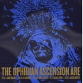 thumbnail image 1 of Ire, 1 of 1