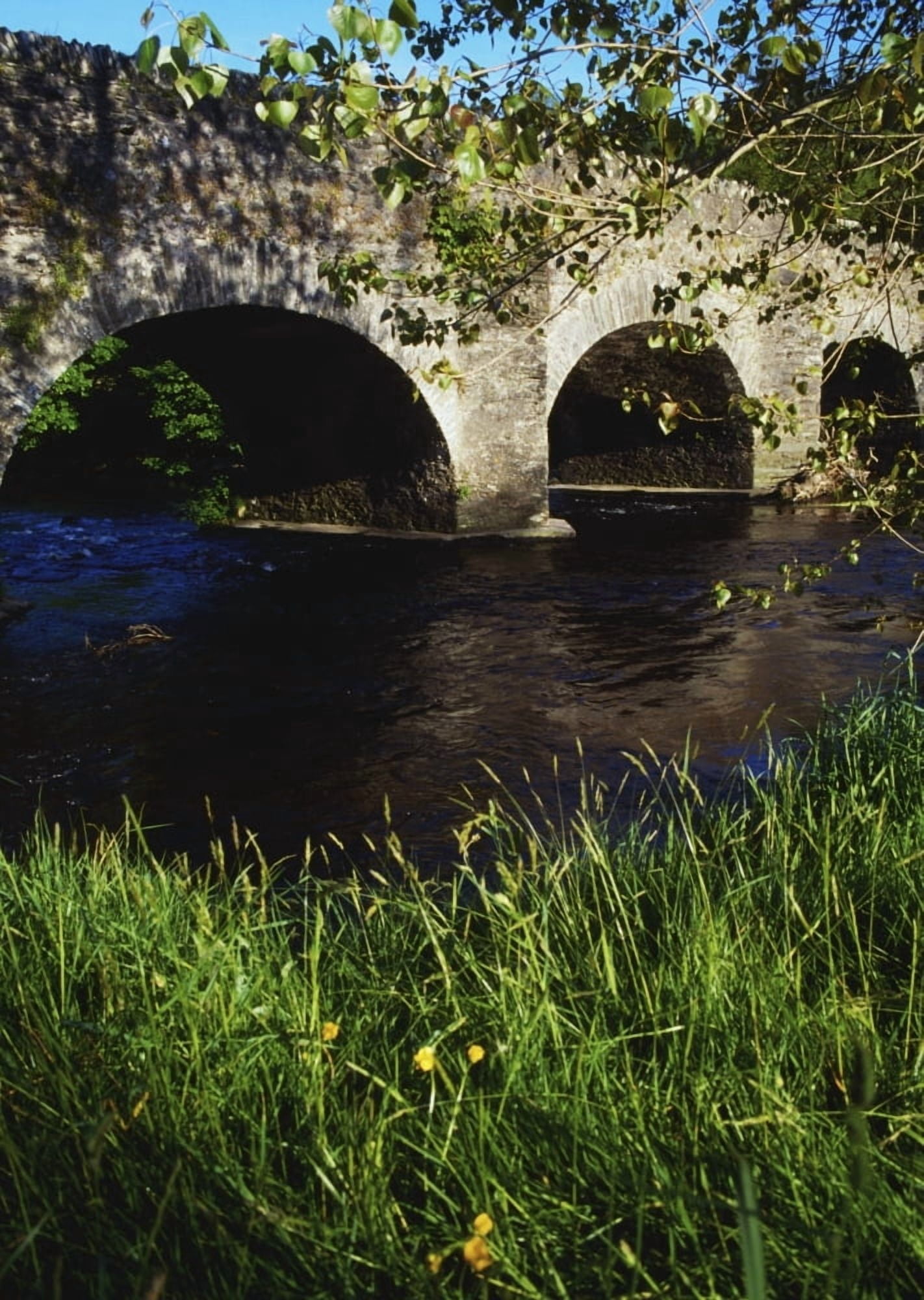 Ireland Bridge Over Water Canvas Art - The Irish Image Collection Design Pics (12 x 18)