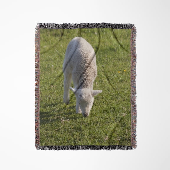 Ireland, County Kerry, Young Sheep, Lamb, Woven Blanket